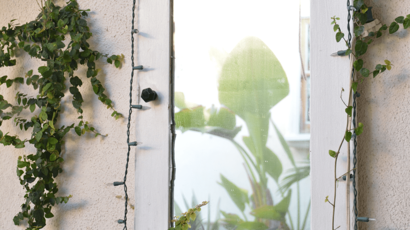 How to Effectively Place Wall Mirrors in Your Garden